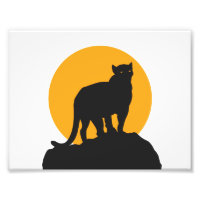 Silhouette de coucher de soleil de panthère noire