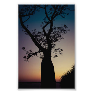 Impression Photo Silhouette de l'arbre de Boab au coucher du soleil