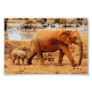 Impression Photo Slogan personnalisé/Elephant de conservation Mère