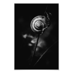 Impression Photo sn