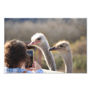 Impression Photo Solvang, CA