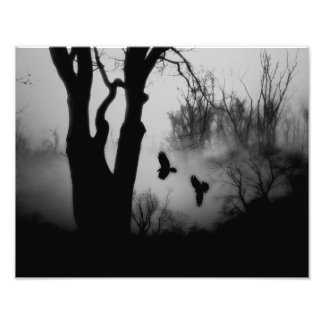 Impression Photo Sombre et mystérieuse corneille forestière