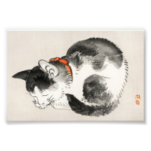 Impression Photo Sommeil Serein : Chat endormi par Kōno Bairei