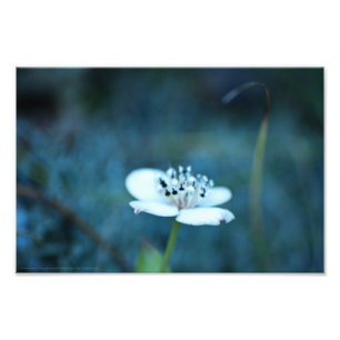 Impression Photo Souvenirs d'été