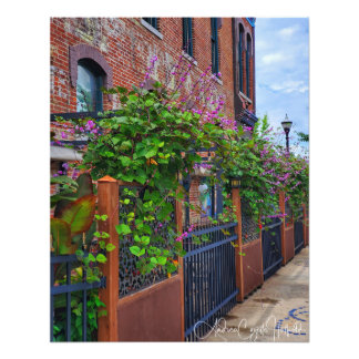 Impression Photo Springfield Missouri Street