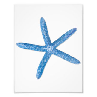 Impression Photo Starfish bleu