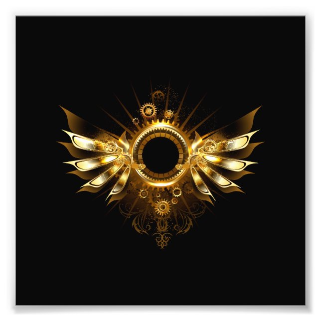 Impression Photo Steampunk wings (Devant)