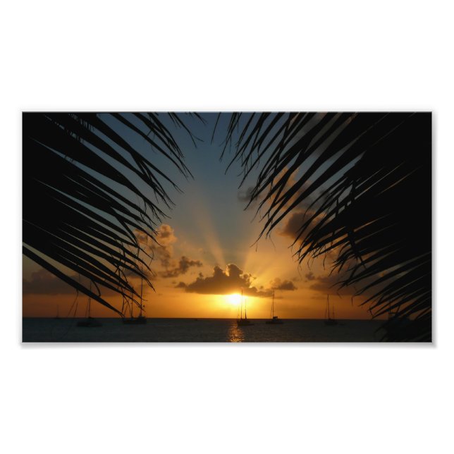 Impression Photo Sunset Through Palm Fronds (Devant)