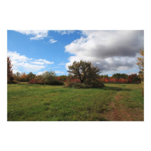 Impression Photo Superbes paysages agricoles de campagne Nouvelle-É