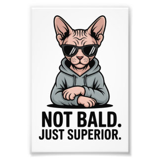 Impression Photo Superior Sphynx Cat Sarcastic Attitude Art