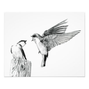 Impression Photo Sur les ailes de l'hirondelle