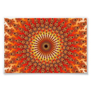 Impression Photo Survie - Fractée