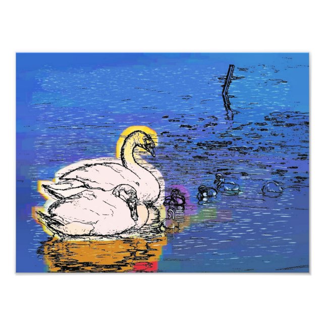 IMPRESSION PHOTO SWANS (Devant)
