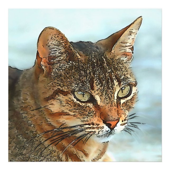Impression Photo Tabby Cat RB Style Dessin Artistique (Devant)