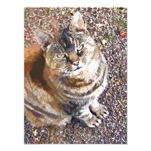 IMPRESSION PHOTO TABLEAU CAT