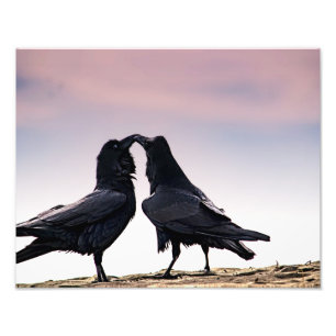 Impression photo Talking Raven