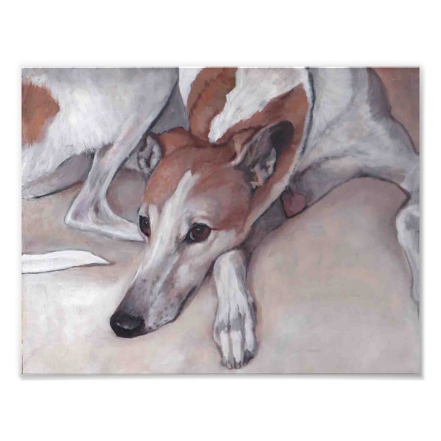 Impression Photo Tan and White Greyhound Dog Art Imprimer (Devant)