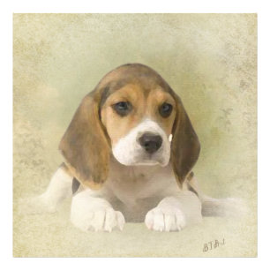 Impression Photo Tapisserie beagle Faux Canvas Imprimer Acrylique I