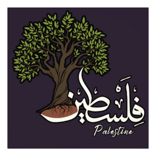 Impression Photo Terme arabe palestinien avec Olivier palestinien