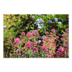 Impression Photo Terrasse de la ville