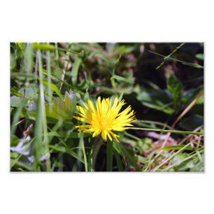 Impression Photo Terrasse de la ville