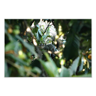 Impression Photo Terrasse de la ville