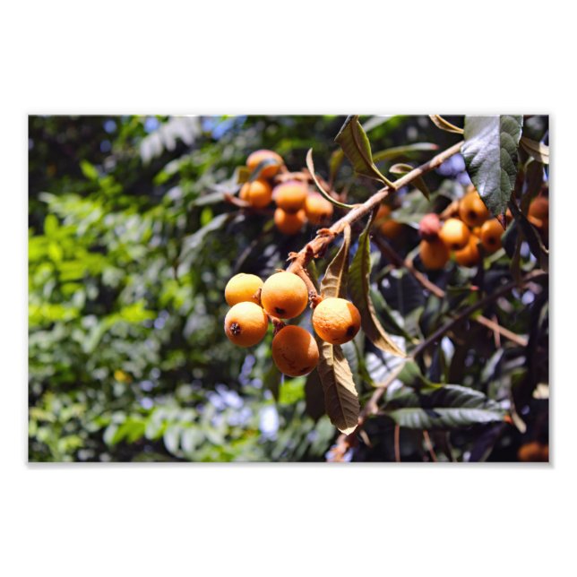 Impression Photo Terrasse de la ville (Devant)