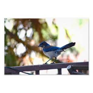 Impression Photo Terrasse de la ville