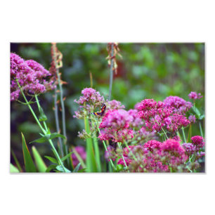 Impression Photo Terrasse de la ville