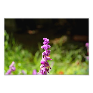 Impression Photo Terrasse de la ville