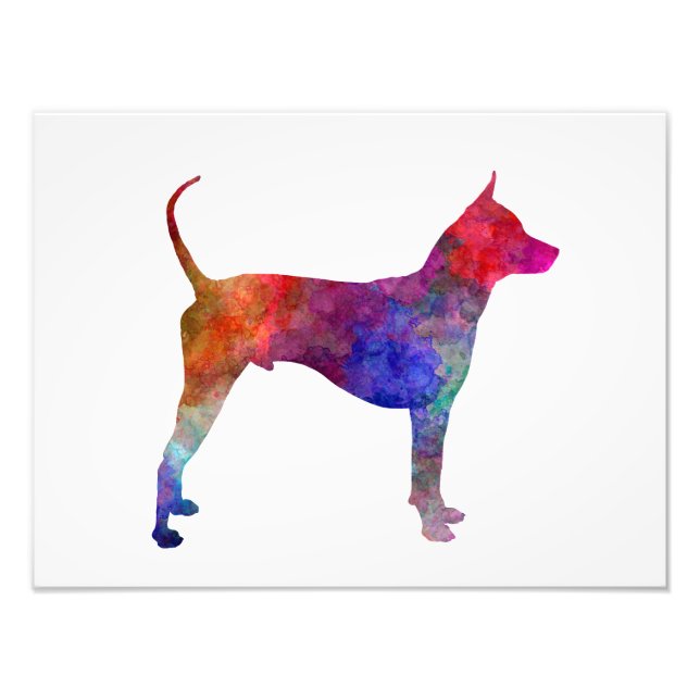 Impression Photo Thai Ridgeback Dog in watercolor (Devant)