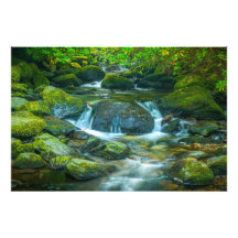 The Emerald Flow of the Irish Brook