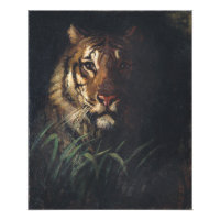 Tiger's Head par Abbott Handerson Thayer