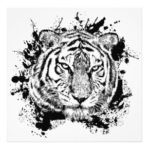 Impression Photo Tigre Animal Sauvage Jungle Safari Afrique Monde N