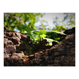 Impression Photo "Toil to Life"