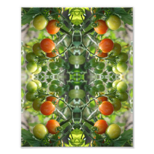 Impression Photo Tomates cerises de jardin Nature Abstraite 8x10