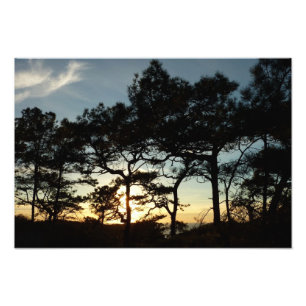 Impression Photo Torrey Pine Sunset II Californie Paysage
