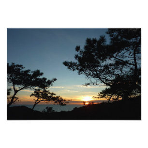 Impression Photo Torrey Pine Sunset III Paysage californien