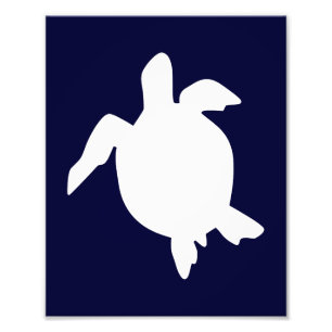 Impression Photo Tortue bleue foncée et blanche Verticale A