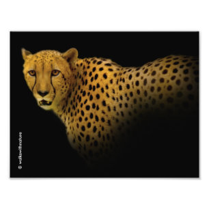 Impression Photo Traces commerciales avec un magnifique guépard