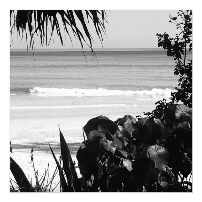 Impression Photo Travel Beach Scène Été Noir Blanc Tropical (Devant)