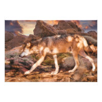 TREK MÉXICAIN DE LOUP ROUGE DÉSERT