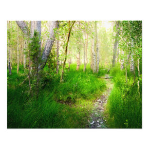 Impression Photo Trembles et herbes luxuriantes à Convict Lake Wall
