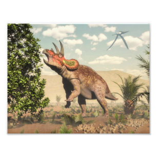 Impression Photo Triceratops mangeant à l'arbre de magnolia - 3D