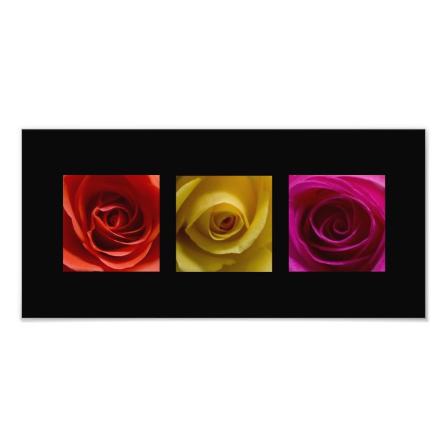 Impression Photo Triptyque Rose orange rose jaune rose Panoramique (Devant)
