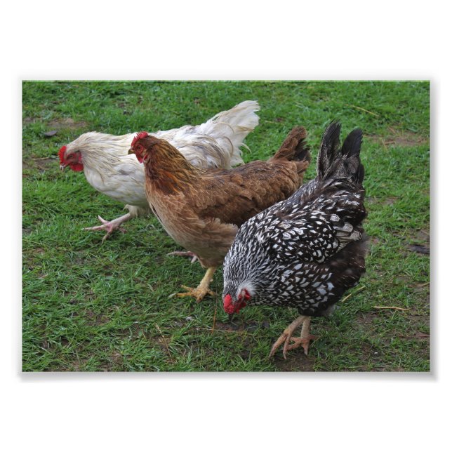 Impression Photo Trois Amigos (Devant)