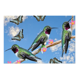 Impression Photo Trois colibris perchés sur une branche Floss Silt