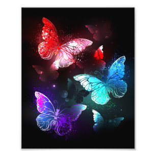 Impression Photo Trois papillons brillants sur l'arrière - plan de