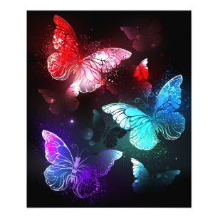 Impression Photo Trois papillons brillants sur l'arrière - plan de 