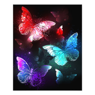Impression Photo Trois papillons brillants sur l'arrière - plan de 